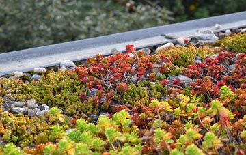 the cost of Caversham Heights green roof installation