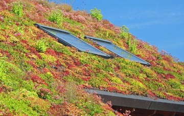 Caversham Heights living roof systems